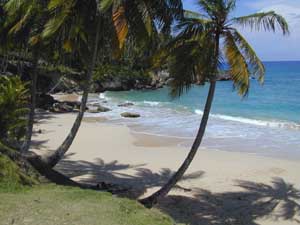 Calores y sudores